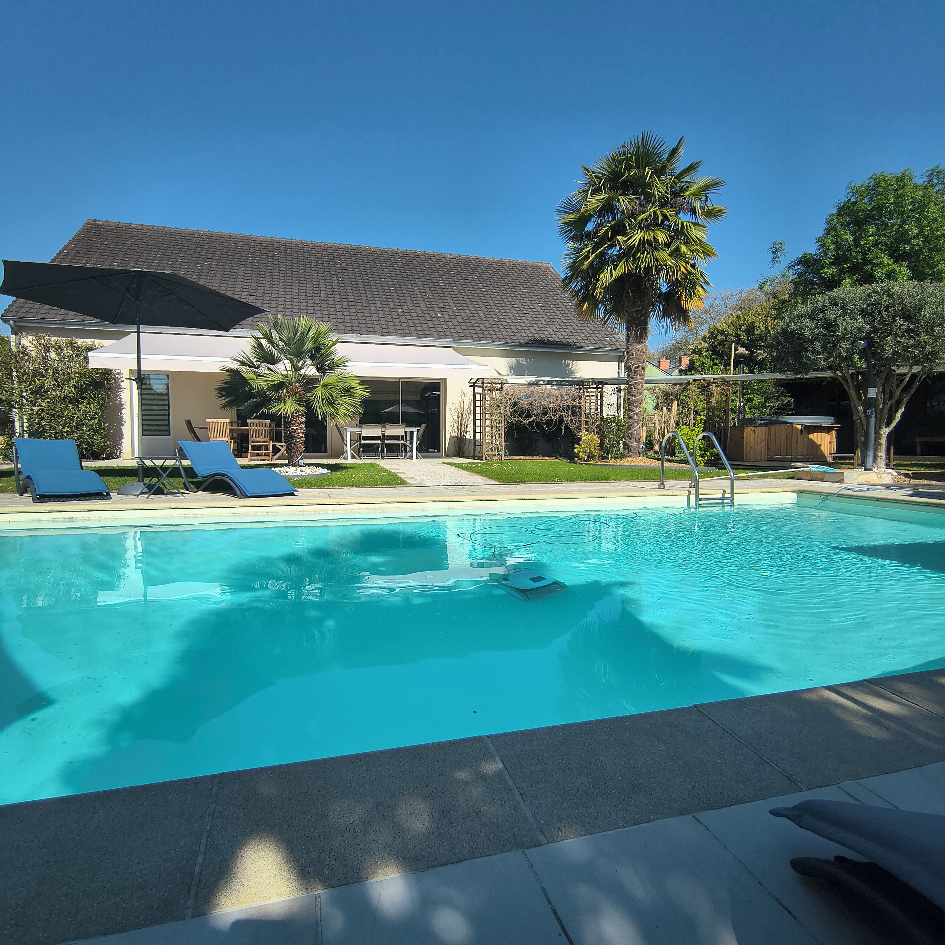 A swimming pool with lounge chairs, a palm tree, and a house with a tiled roof.
