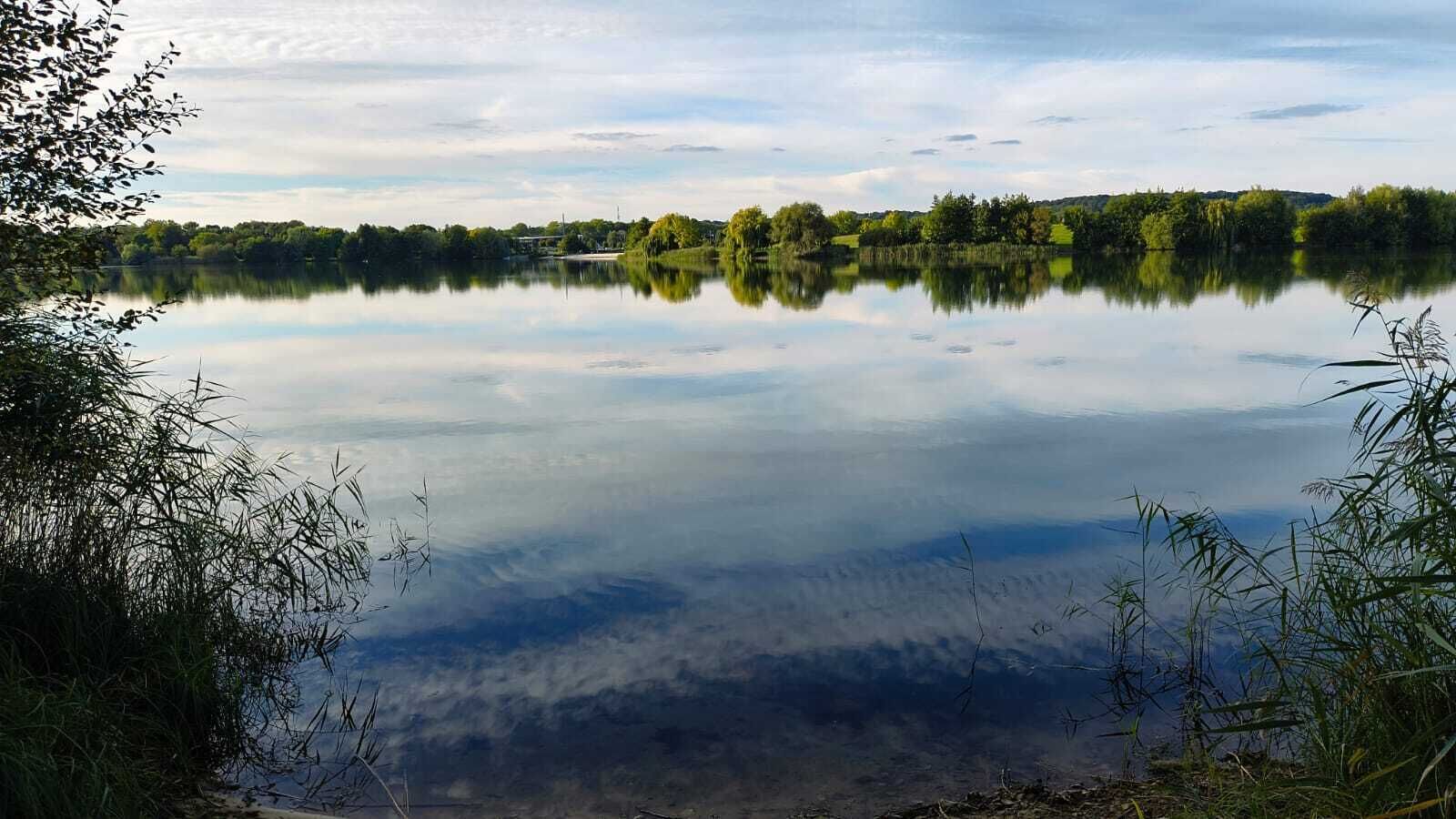 Un lac paisible où se reflètent les arbres et où le ciel est dégagé.