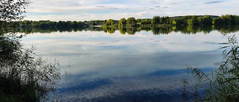 Un lac paisible où se reflètent les arbres et où le ciel est dégagé.