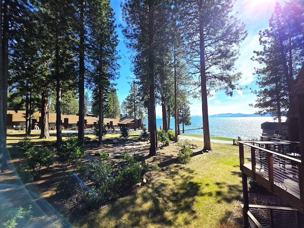 Eine Lodge mit einer Terrasse mit Blick auf einen See, umgeben von hohen Bäumen.