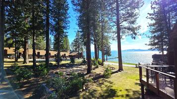A forested area with a view of a lake and a building with a deck.