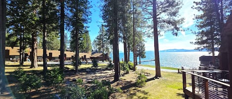 A forested area with a view of a lake and a building with a deck.