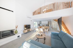 Smart TV, fireplace, DVD player, books