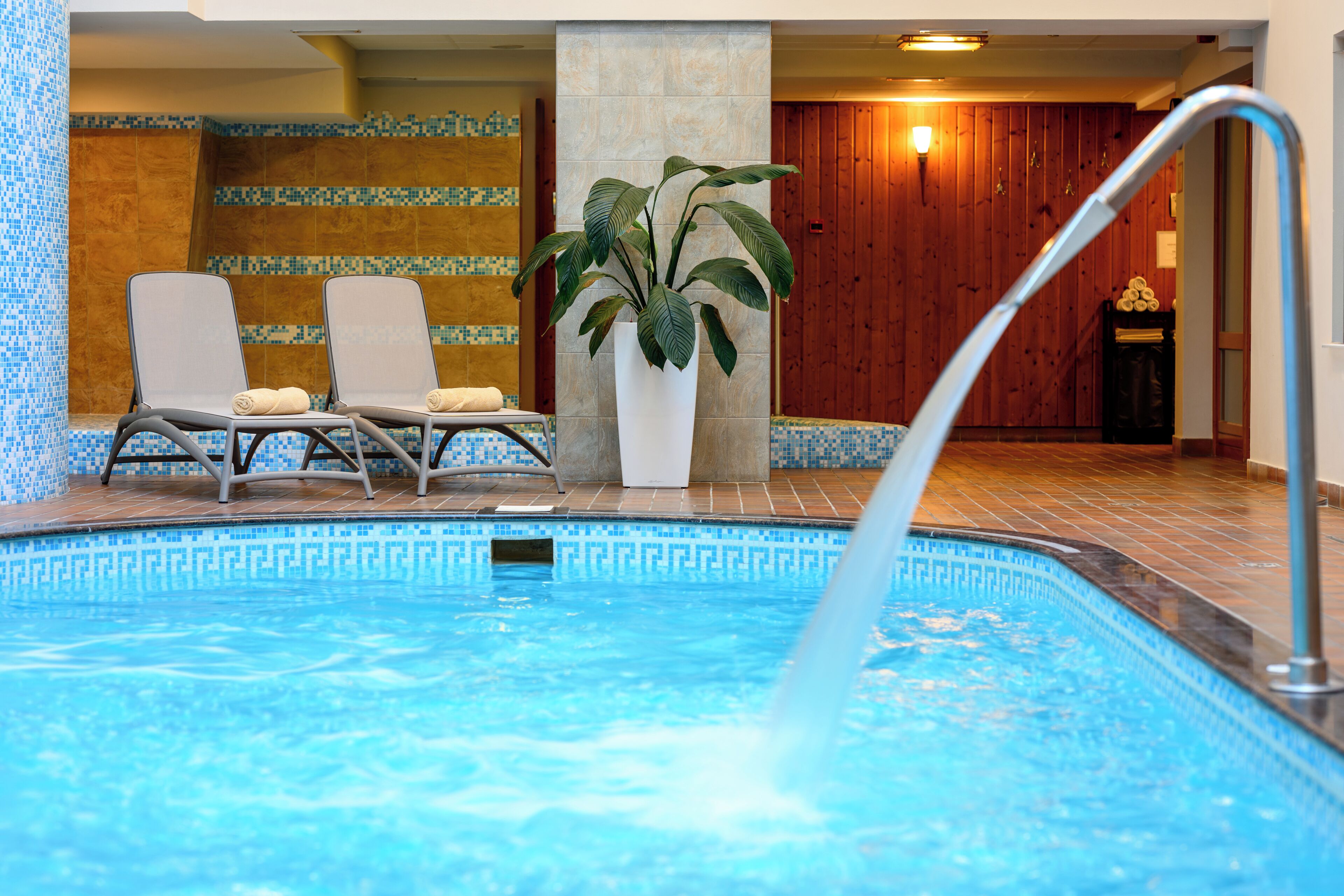 Ein Swimmingpool mit Liegestühlen und einer Topfpflanze.