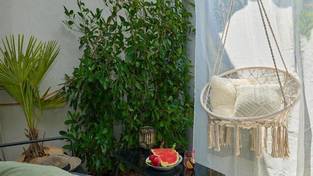 A cozy room with a hanging chair, a small table with a watermelon and drinks, and lush green plants. - Palm Tree Apartments (Dubrovnik)