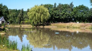 A tranquil pond with a weeping willow tree, a small building, and dense trees in the background. - Cosy Twin or Double Studio Near Shearsby, England (Lutterworth)