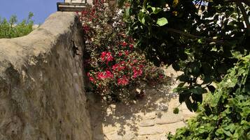 Terraço/pátio