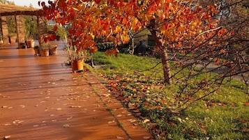 Jardines del alojamiento
