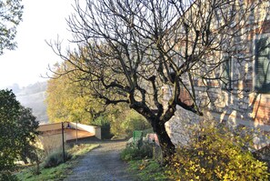 Property grounds - Former Barn in the countryside, scenic, overlooking Florence (Sesto Fiorentino, località Cercina (Fire)