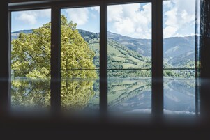 Vista desde la habitación