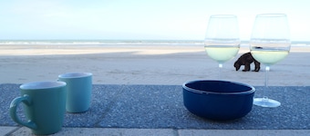 "Les pieds dans l'eau Malo plage bord et digue de mer Dunkerque