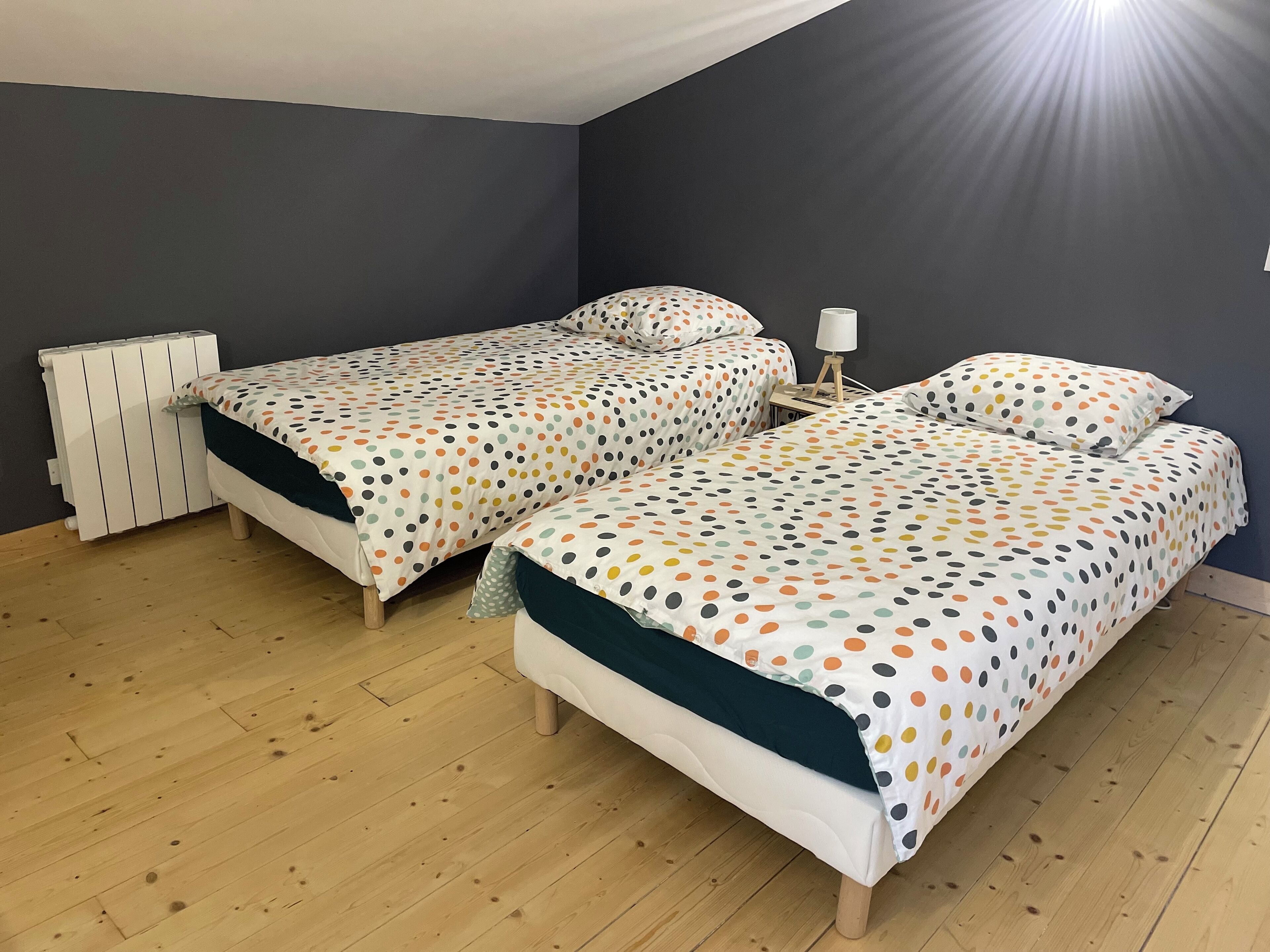 A bedroom with two beds, a radiator, and a nightstand with a lamp.