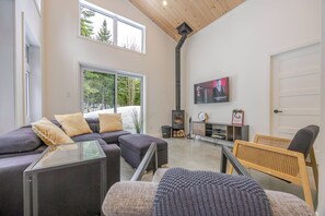 Smart TV, fireplace, books