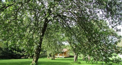 Bramley Orchard Glamping