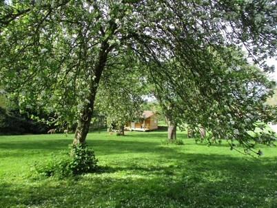 Cosy Lodge completely on your own in an acre of land. and will take 2 dogs