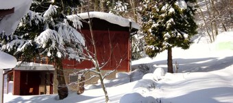 Cozy vacation home surrounded by greenery