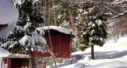 Cozy vacation home surrounded by greenery