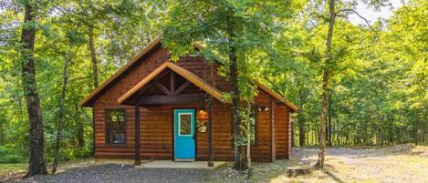A wooden cabin with a blue door, surrounded by trees.