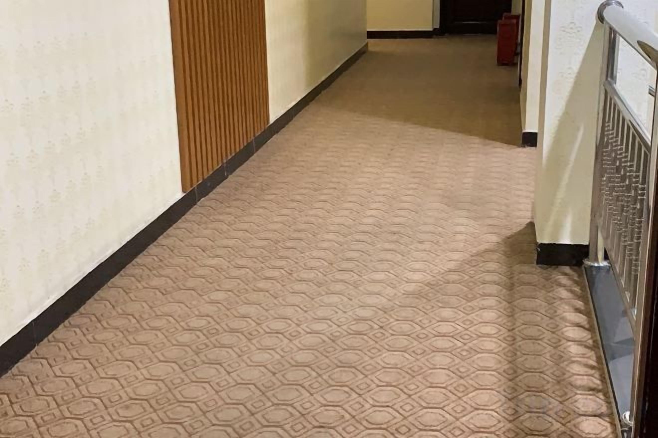 A carpeted hallway with a patterned floor, a wooden panel wall, and a metal railing on the right.