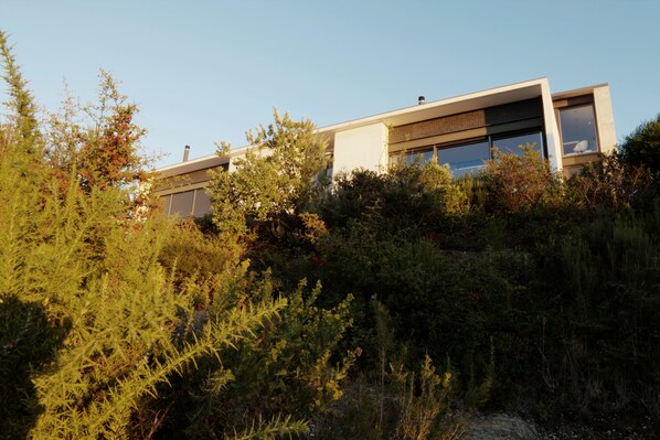 Un bâtiment moderne doté de grandes fenêtres et d’un toit plat, entouré d’une végétation luxuriante.