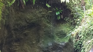 Et naturligt vandelement omgivet af sten og vegetation.
