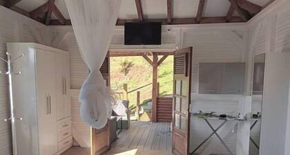 In the heart of nature