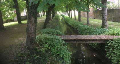 VILLA DES PROMENADES, 5* atypical in a National Forest Park, European Ecolabel