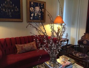 Una Smart TV, una chimenea, un reproductor de DVD, una videoteca