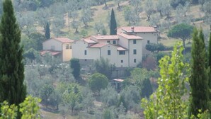 A cluster of buildings with red-tiled roofs, surrounded by trees and vegetation. - FUCCIOLI II (Carmignano)