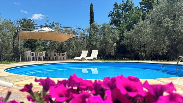 A swimming pool with lounge chairs and a pergola. - FUCCIOLI II (Carmignano)