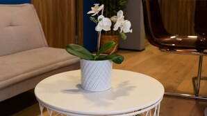 Una habitación con una mesa redonda blanca, un sofá beige, una orquídea en maceta y una planta verde alta.