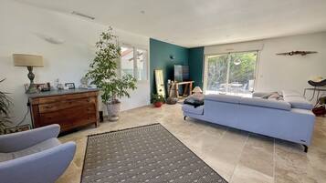 Télévision, baby-foot, table de tennis de table