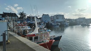 Een jachthaven met aangemeerde boten, een gebouw met een bord, en een heldere lucht.