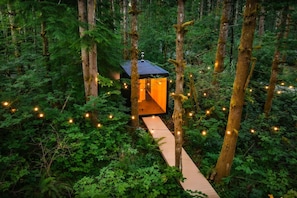 A secluded cabin in a dense forest with a wooden deck leading to the entrance.