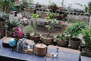 A balcony with potted plants, a globe, and a wooden box. - Beret B&B (Tengchong)