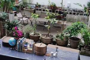 室外用餐