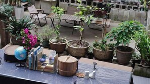 Un pequeño patio con una mesa, sillas y varias macetas con plantas.