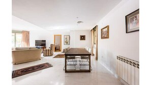 Interior - Spectacular apartment in the center of Granada (Granada)