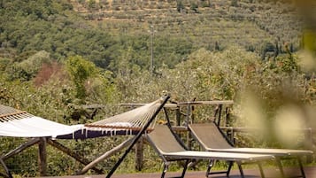 Vista dalla struttura