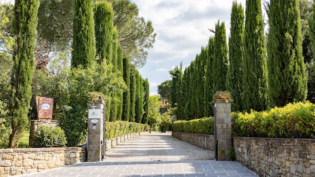 Un sendero de piedra que atraviesa un jardín con árboles altos y delgados y un muro de piedra a un lado.