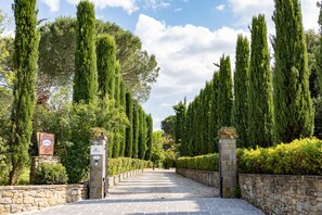 A stone pathway leading through a garden with tall, narrow trees and a stone wall on one side.