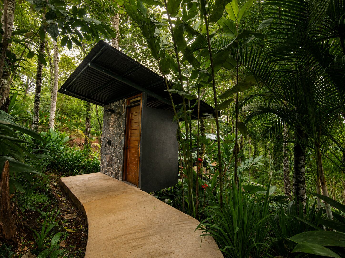 A small stone building with a wooden door, surrounded by dense tropical foliage and a concrete pathway leading to it.