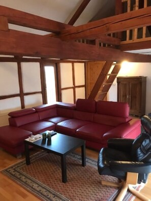 TV, fireplace, foosball, table tennis