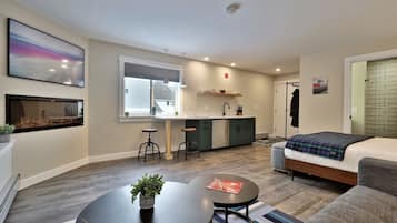 TV, fireplace, video library