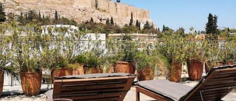 Apartment | 2 bedrooms, Internet