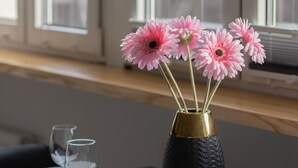 Ảnh chưa phân loại, 4 trong số 29 ảnh, nút