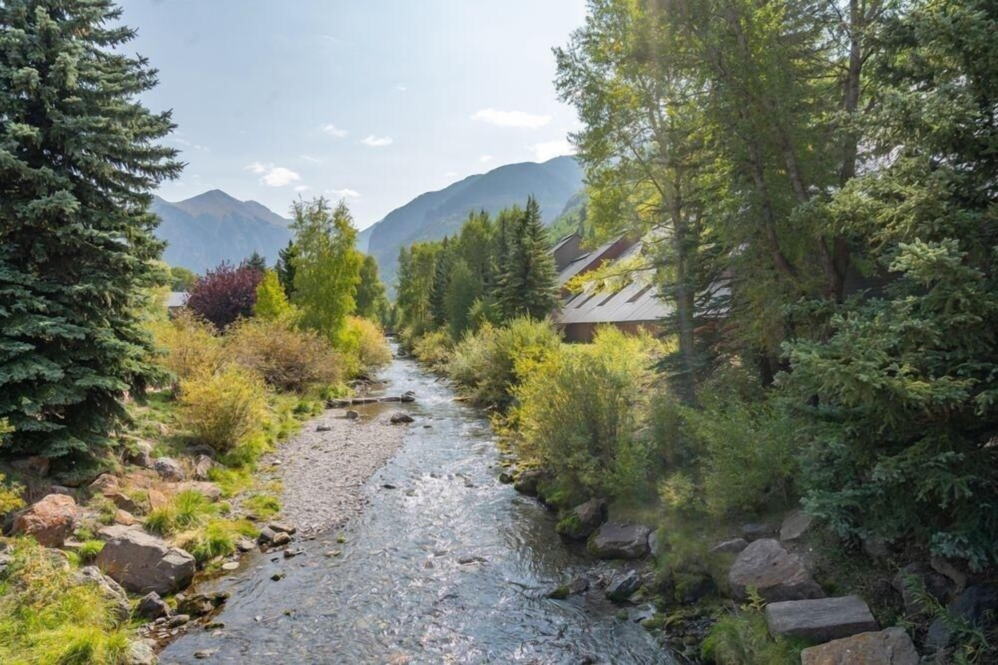 A river flowing through a forested area with mountains in the background.