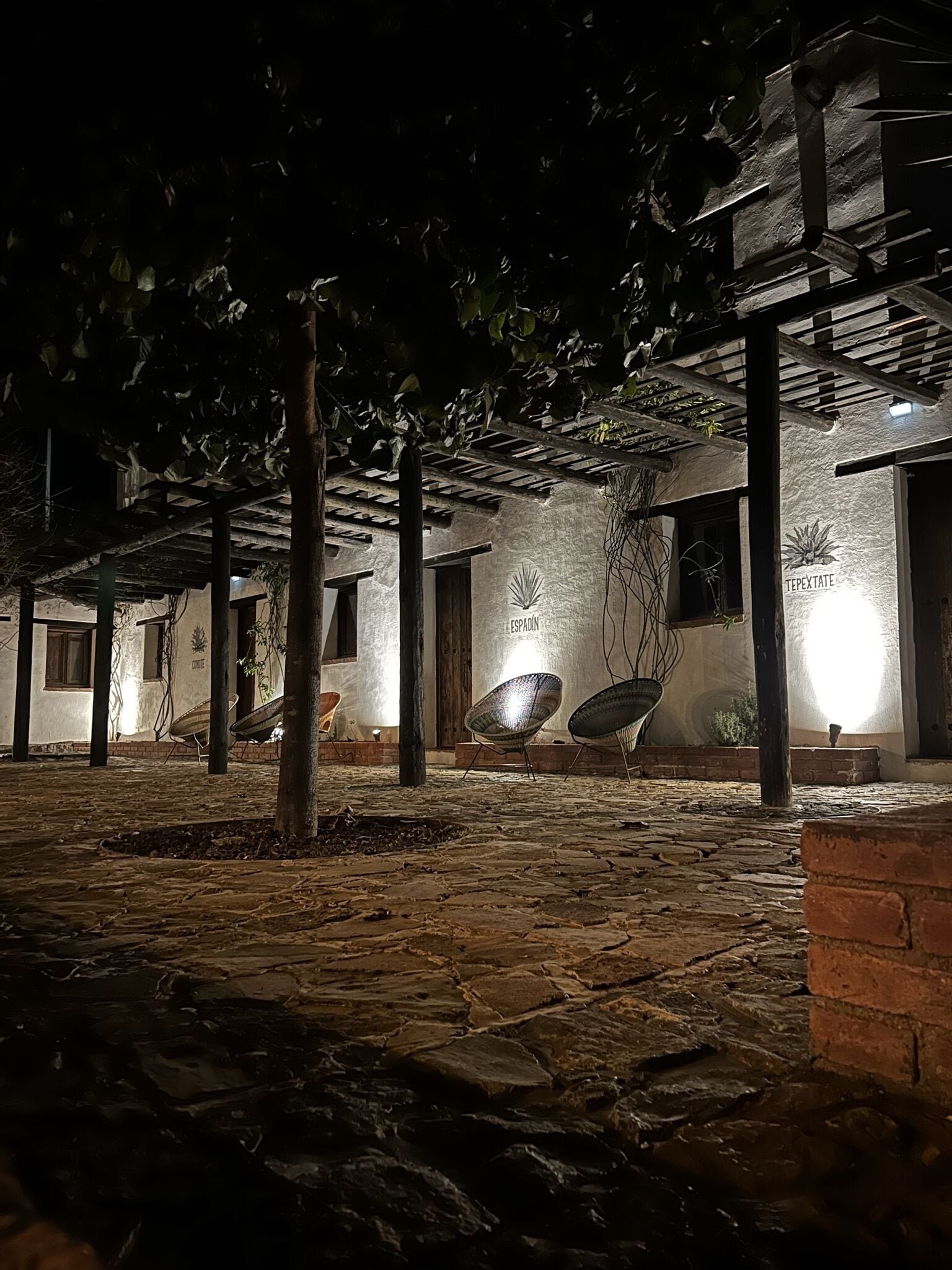 Habitación doble Premium | Artículos del minibar gratis, wifi gratis y ropa de cama 