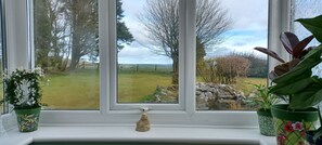 Estudio, 1 cama Queen size | Vista desde la propiedad