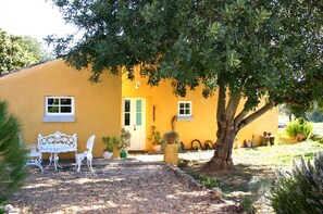 1 habitación 
